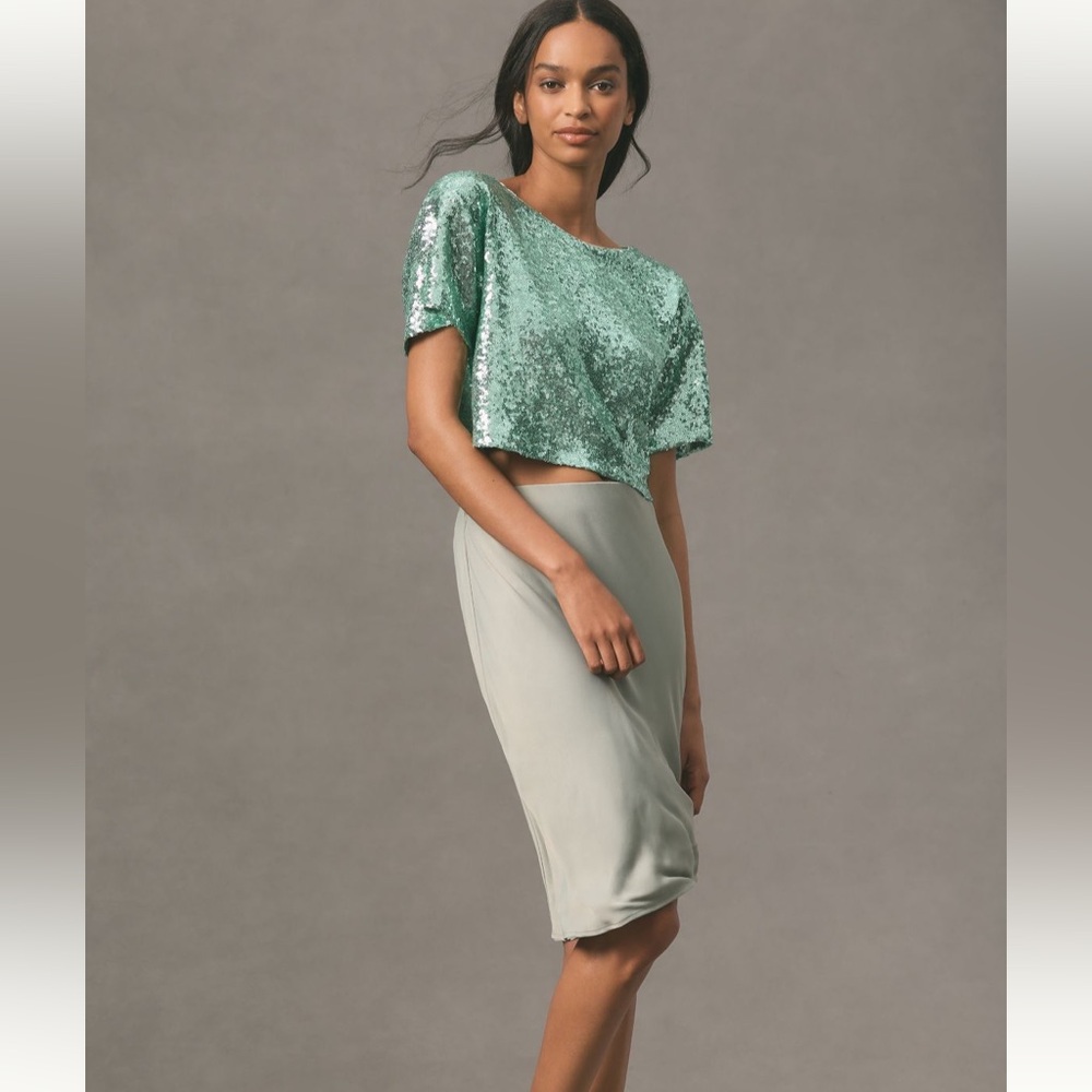 Anthropologie sequin crop tee NWT